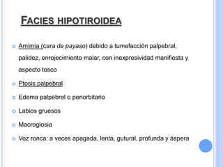 FACIES HIPOTIROIDEA
 Amimia (cara de payaso) debido a tumefacción palpebral,
palidez, enrojecimiento malar, con inexpresividad manifiesta y
aspecto tosco
 Ptosis palpebral
 Edema palpebral o periorbitario
 Labios gruesos
 Macroglosia
 Voz ronca: a veces apagada, lenta, gutural, profunda y áspera
 