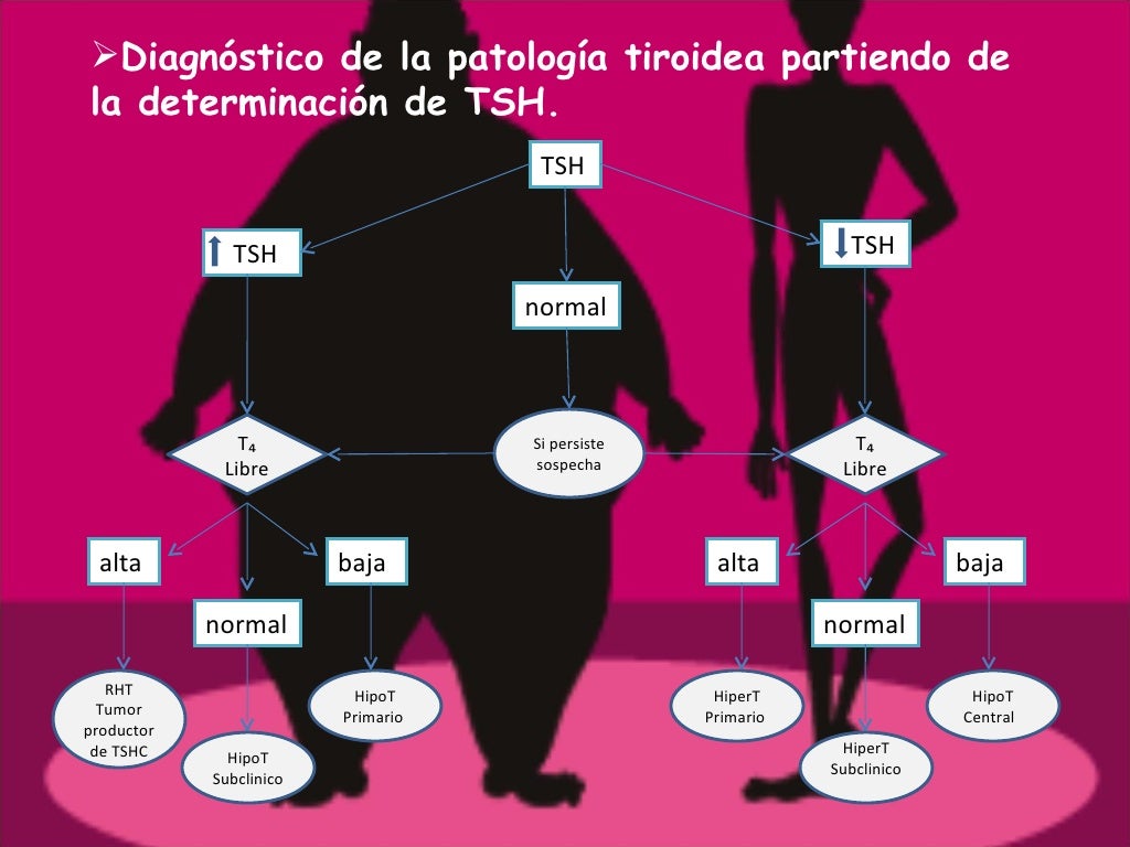 Hipertiroidismo E Hipotiroidismo
