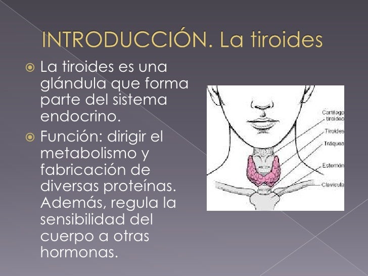 Como adelgazar en las caderas a la muchacha a la pera