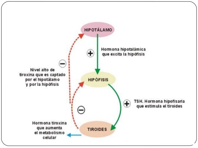 El peso es una medida bastante poco fiable y muy voluble.
