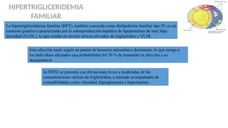 Fisiologia hipertrigliceridemia conceptos | PPTX