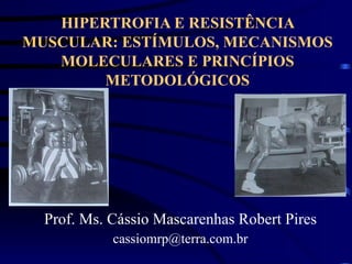 HIPERTROFIA E RESISTÊNCIA MUSCULAR: ESTÍMULOS, MECANISMOS MOLECULARES E PRINCÍPIOS METODOLÓGICOS Prof. Ms. Cássio Mascarenhas Robert Pires [email_address] 