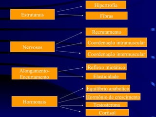 Estruturais Hipertrofia Fibras Recrutamento Coordenação intramuscular Coordenação intermuscular Alongamento- Encurtamento Reflexo miotático Elasticidade Hormonais Equilíbrio anabólico Hormônio de crescimento Testosterona Nervosos Cortisol 