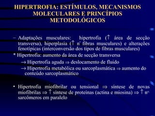 HIPERTROFIA: ESTÍMULOS, MECANISMOS MOLECULARES E PRINCÍPIOS METODOLÓGICOS Adaptações musculares:  hipertrofia (   área de secção transversa), hiperplasia (   n º  fibras musculares) e alterações fenotípicas (interconversão dos tipos de fibras musculares) * Hipertrofia: aumento da área de secção transversa    Hipertrofia aguda    deslocamento de fluido Hipertrofia metabólica ou sarcoplasmática     aumento do conteúdo sarcoplasmático   Hipertrofia miofibrilar ou tensional    síntese de novas miofibrilas       síntese de proteínas (actina e miosina)       n o.  sarcômeros em paralelo 