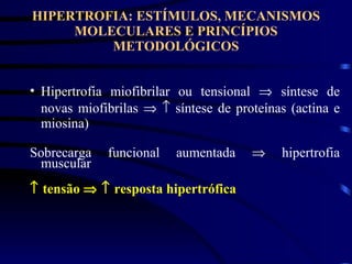 HIPERTROFIA: ESTÍMULOS, MECANISMOS MOLECULARES E PRINCÍPIOS METODOLÓGICOS Hipertrofia miofibrilar ou tensional    síntese de novas miofibrilas       síntese de proteínas (actina e miosina)  Sobrecarga funcional aumentada    hipertrofia muscular     tensão       resposta hipertrófica 