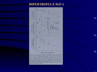 HIPERTROFIA E IGF-1 