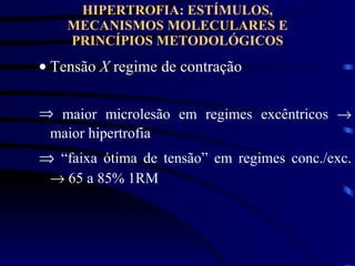 HIPERTROFIA: ESTÍMULOS, MECANISMOS MOLECULARES E PRINCÍPIOS METODOLÓGICOS Tensão  X  regime de contração maior microlesão em regimes excêntricos    maior hipertrofia      “ faixa ótima de tensão” em regimes conc./exc.    65 a 85% 1RM 
