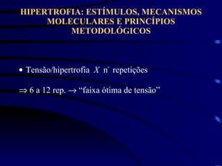 HIPERTROFIA: ESTÍMULOS, MECANISMOS MOLECULARES E PRINCÍPIOS METODOLÓGICOS Tensão/hipertrofia  X   n º  repetições    6 a 12 rep.    “faixa ótima de tensão” 