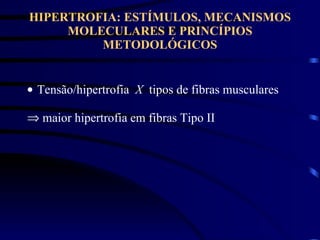 HIPERTROFIA: ESTÍMULOS, MECANISMOS MOLECULARES E PRINCÍPIOS METODOLÓGICOS Tensão/hipertrofia  X   tipos de fibras musculares maior hipertrofia em fibras Tipo II 