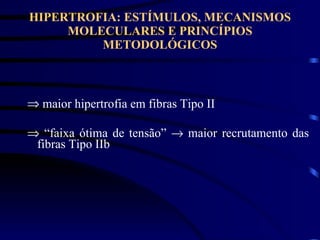HIPERTROFIA: ESTÍMULOS, MECANISMOS MOLECULARES E PRINCÍPIOS METODOLÓGICOS maior hipertrofia em fibras Tipo II   “ faixa ótima de tensão”    maior recrutamento das fibras Tipo IIb 