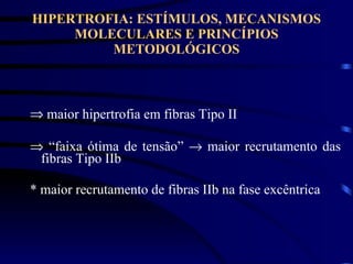 HIPERTROFIA: ESTÍMULOS, MECANISMOS MOLECULARES E PRINCÍPIOS METODOLÓGICOS maior hipertrofia em fibras Tipo II   “ faixa ótima de tensão”    maior recrutamento das fibras Tipo IIb * maior recrutamento de fibras IIb na fase excêntrica 