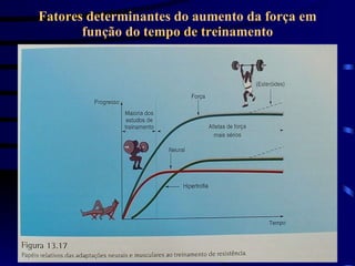 Fatores determinantes do aumento da força em função do tempo de treinamento 