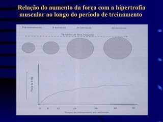 Relação do aumento da força com a hipertrofia muscular ao longo do período de treinamento  