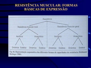 RESISTÊNCIA MUSCULAR: FORMAS BÁSICAS DE EXPRESSÃO   