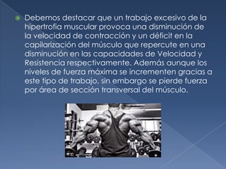  Debemos destacar que un trabajo excesivo de la
hipertrofia muscular provoca una disminución de
la velocidad de contracción y un déficit en la
capilarización del músculo que repercute en una
disminución en las capacidades de Velocidad y
Resistencia respectivamente. Además aunque los
niveles de fuerza máxima se incrementen gracias a
este tipo de trabajo, sin embargo se pierde fuerza
por área de sección transversal del músculo.
 