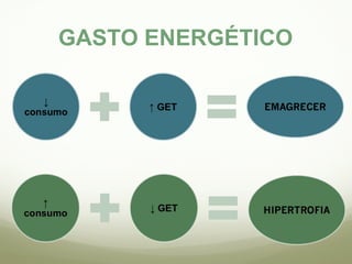 GASTO ENERGÉTICO 
 