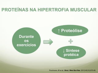PROTEÍNAS NA HIPERTROFIA MUSCULAR 
Poortmans JR et al., Braz J Med Biol Res. 2012;45(10):875-90. 
 
