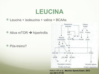 LEUCINA 
Leucina + isoleucina + valina = BCAAs 
Ativa mTOR  hipertrofia 
Pós-treino? 
Nelson AR et al., Med Sci Sports Exerc. 2012 
Jan;44(1):57-68 
 