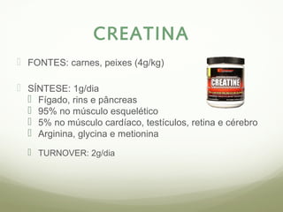 CREATINA 
 FONTES: carnes, peixes (4g/kg) 
 SÍNTESE: 1g/dia 
 Fígado, rins e pâncreas 
 95% no músculo esquelético 
 5% no músculo cardíaco, testículos, retina e cérebro 
 Arginina, glycina e metionina 
 TURNOVER: 2g/dia 
 