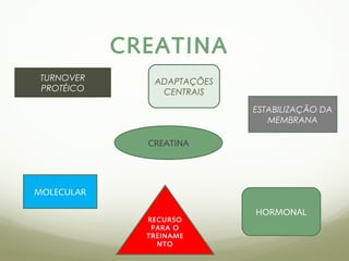 CREATINA 
CREATINA 
ESTABILIZAÇÃO DA 
MEMBRANA 
HORMONAL 
RECURSO 
PARA O 
TREINAME 
NTO 
TURNOVER 
PROTÉICO 
MOLECULAR 
ADAPTAÇÕES 
CENTRAIS 
 