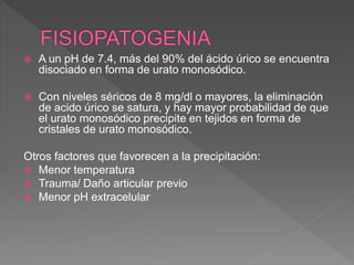  A un pH de 7.4, más del 90% del ácido úrico se encuentra
disociado en forma de urato monosódico.
 Con niveles séricos de 8 mg/dl o mayores, la eliminación
de acido úrico se satura, y hay mayor probabilidad de que
el urato monosódico precipite en tejidos en forma de
cristales de urato monosódico.
Otros factores que favorecen a la precipitación:
 Menor temperatura
 Trauma/ Daño articular previo
 Menor pH extracelular
 