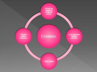 Cristales.
Forma de
aguja de
urato de
sodio.
Leucococitos
líquido
sinovial.
1 000- 50000.
Tinción
Gram.
Infección.
 