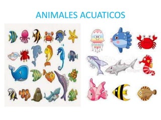 ANIMALES ACUATICOS