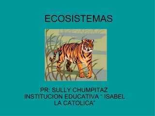 ECOSISTEMAS PR: SULLY CHUMPITAZ  INSTITUCION EDUCATIVA “ ISABEL LA CATOLICA” 