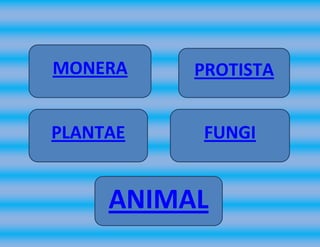 MONERA    PROTISTA


PLANTAE   FUNGI


     ANIMAL
 
