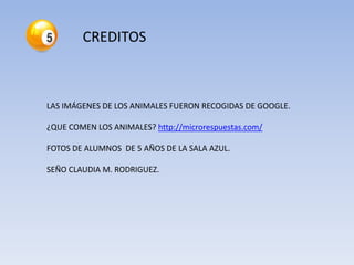 LAS IMÁGENES DE LOS ANIMALES FUERON RECOGIDAS DE GOOGLE.
¿QUE COMEN LOS ANIMALES? http://microrespuestas.com/
FOTOS DE ALUMNOS DE 5 AÑOS DE LA SALA AZUL.
SEÑO CLAUDIA M. RODRIGUEZ.
 
