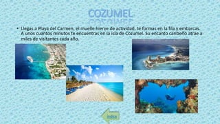 • Llegas a Playa del Carmen, el muelle hierve de actividad, te formas en la fila y embarcas.
A unos cuantos minutos te encuentras en la isla de Cozumel. Su encanto caribeño atrae a
miles de visitantes cada año.
índice
 