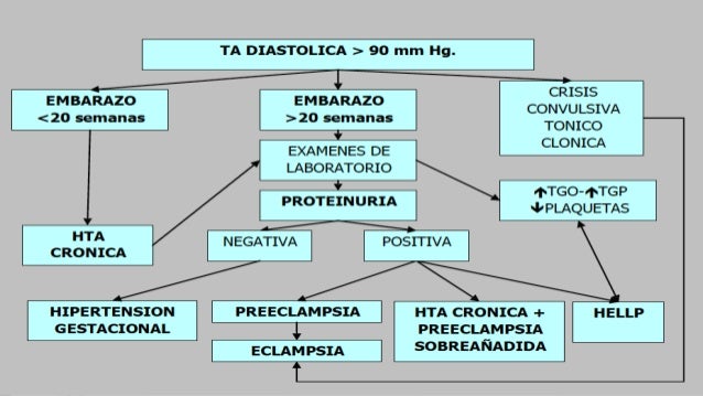 fisiopatologia de Hipertension arterial en el embarazo fisiopatologia de Hipertension arterial en el embarazo