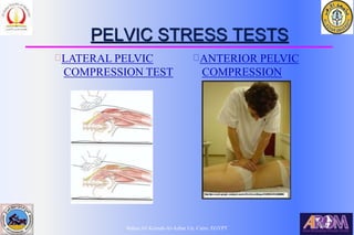 Bahaa Ali Kornah-Al-Azhar Un. Cairo. EGYPT
PELVIC STRESS TESTS
LATERAL PELVIC
COMPRESSION TEST
ANTERIOR PELVIC
COMPRESSION
TEST
 