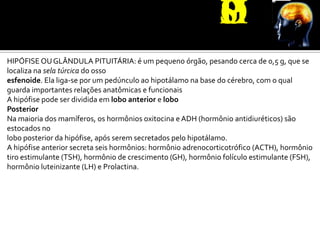 HIPÓFISE OU GLÂNDULA PITUITÁRIA: é um pequeno órgão, pesando cerca de 0,5 g, que se
localiza na sela túrcica do osso
esfenoide. Ela liga-se por um pedúnculo ao hipotálamo na base do cérebro, com o qual
guarda importantes relações anatômicas e funcionais
A hipófise pode ser dividida em lobo anterior e lobo
Posterior
Na maioria dos mamíferos, os hormônios oxitocina e ADH (hormônio antidiuréticos) são
estocados no
lobo posterior da hipófise, após serem secretados pelo hipotálamo.
A hipófise anterior secreta seis hormônios: hormônio adrenocorticotrófico (ACTH), hormônio
tiro estimulante (TSH), hormônio de crescimento (GH), hormônio folículo estimulante (FSH),
hormônio luteinizante (LH) e Prolactina.
 