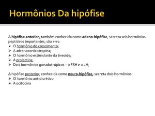 A hipófise anterior, também conhecida como adeno-hipófise, secreta seis hormônios
peptídeos importantes, são eles:
 O hormônio do crescimento;
 A adrenocorticotropina;
 O hormônio estimulante da tireoide;
 A prolactina;
 Dois hormônios gonadotrópicos – o FSH e o LH;

A hipófise posterior, conhecida como neuro-hipófise, secreta dois hormônios:
 O hormônio antidiurético
 A ocitocina
 