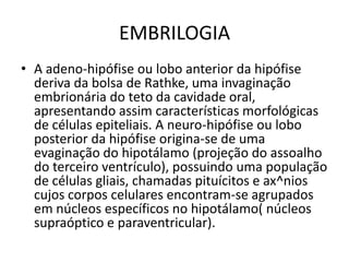 EMBRILOGIA
• A adeno-hipófise ou lobo anterior da hipófise
deriva da bolsa de Rathke, uma invaginação
embrionária do teto da cavidade oral,
apresentando assim características morfológicas
de células epiteliais. A neuro-hipófise ou lobo
posterior da hipófise origina-se de uma
evaginação do hipotálamo (projeção do assoalho
do terceiro ventrículo), possuindo uma população
de células gliais, chamadas pituícitos e ax^nios
cujos corpos celulares encontram-se agrupados
em núcleos específicos no hipotálamo( núcleos
supraóptico e paraventricular).
 