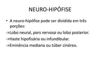 NEURO-HIPÓFISE
• A neuro-hipófise pode ser dividida em três
porções:
->Lobo neural, pars nervosa ou lobo posterior.
->Haste hipofisária ou infundibular.
->Eminência mediana ou túber cinéreo.
 