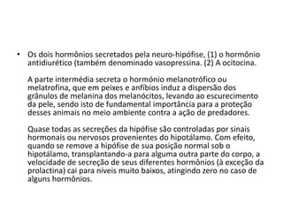 • Os dois hormônios secretados pela neuro-hipófise, (1) o hormônio
antidiurético (também denominado vasopressina. (2) A ocitocina.
A parte intermédia secreta o hormónio melanotrófico ou
melatrofina, que em peixes e anfíbios induz a dispersão dos
grânulos de melanina dos melanócitos, levando ao escurecimento
da pele, sendo isto de fundamental importância para a proteção
desses animais no meio ambiente contra a ação de predadores.
Quase todas as secreções da hipófise são controladas por sinais
hormonais ou nervosos provenientes do hipotálamo. Com efeito,
quando se remove a hipófise de sua posição normal sob o
hipotálamo, transplantando-a para alguma outra parte do corpo, a
velocidade de secreção de seus diferentes hormônios (à exceção da
prolactina) cai para níveis muito baixos, atingindo zero no caso de
alguns hormônios.
 