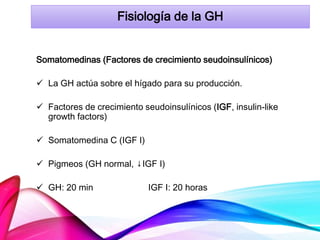 Fisiología de la GH
Somatomedinas (Factores de crecimiento seudoinsulínicos)
 La GH actúa sobre el hígado para su producción.
 Factores de crecimiento seudoinsulínicos (IGF, insulin-like
growth factors)
 Somatomedina C (IGF I)
 Pigmeos (GH normal, ↓IGF I)
 GH: 20 min IGF I: 20 horas
 