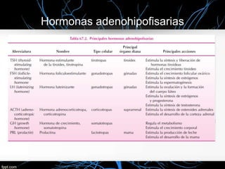 Hormonas adenohipofisarias
 