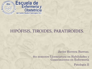 Hipófisis, tiroides, paratiroides. Javier Herrera Barroso. 6to semestre Licenciatura en Habilidades y Conocimientos en Enfermería  Patología II 