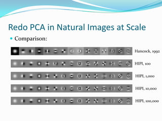 Redo PCA in Natural Images at ScaleComparison:Hancock, 1992HIPI, 100HIPI, 1,000HIPI, 10,000HIPI, 100,000