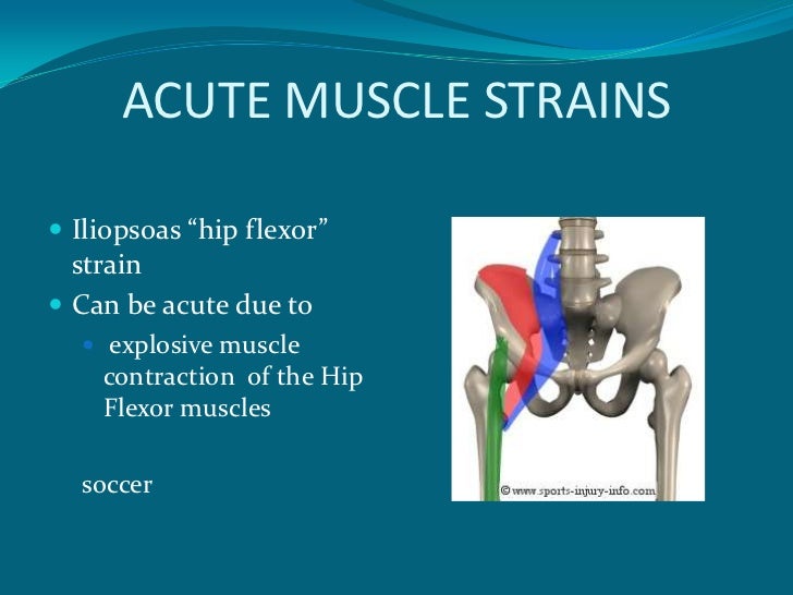 Hip Injuries In The Athelete+Arthroscopy Of The Hip