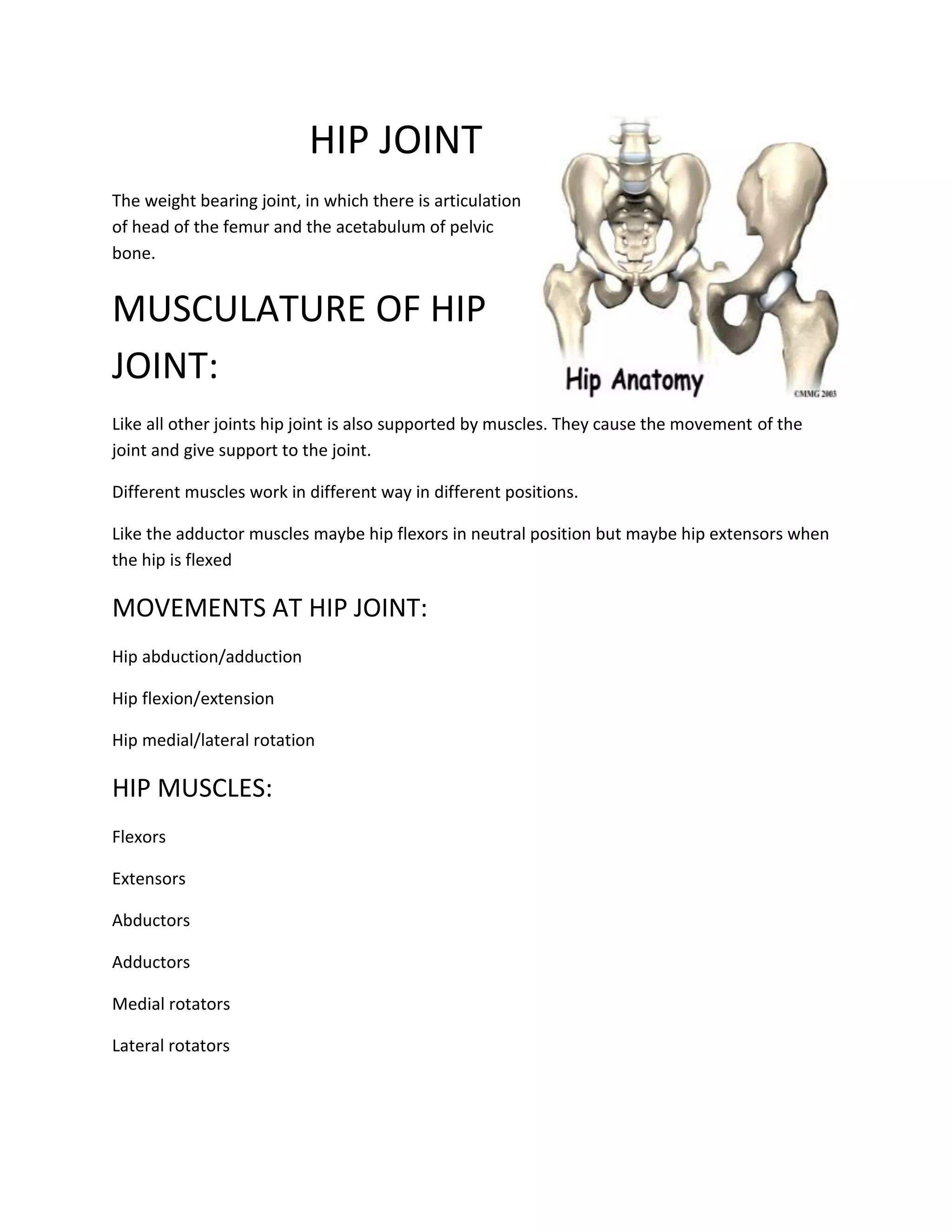 Hip joint (biomechanics) | DOCX