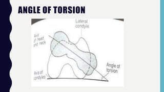 ANGLE OF TORSION
 