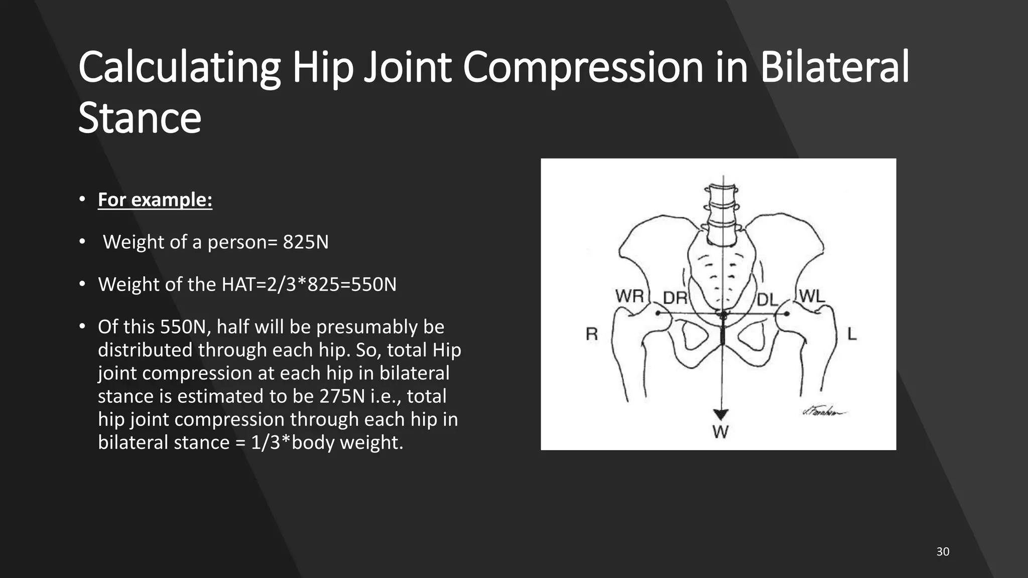 Hip Joint Biomechanics | PPTX