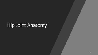 Hip Joint Biomechanics | PPTX