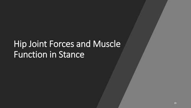 Hip Joint Biomechanics | PPTX