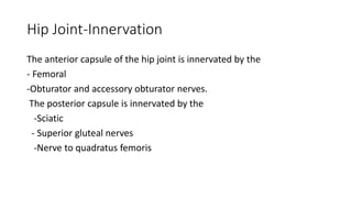 Hip Joint-Innervation
The anterior capsule of the hip joint is innervated by the
- Femoral
-Obturator and accessory obturator nerves.
The posterior capsule is innervated by the
-Sciatic
- Superior gluteal nerves
-Nerve to quadratus femoris
 