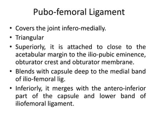 Pubo-femoral Ligament
• Covers the joint infero-medially.
• Triangular
• Superiorly, it is attached to close to the
acetabular margin to the ilio-pubic eminence,
obturator crest and obturator membrane.
• Blends with capsule deep to the medial band
of ilio-femoral lig.
• Inferiorly, it merges with the antero-inferior
part of the capsule and lower band of
iliofemoral ligament.
 